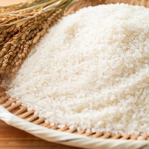 白米 夢しずく」の人気商品一覧・価格比較 - 価格.com